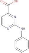 2-(Phenylamino)pyrimidine-4-carboxylic acid
