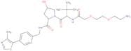 (S,R,S)-AHPC-PEG2-NH2