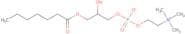 1-Heptanoyl-2-hydroxy-sn-glycero-3-phosphocholine