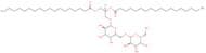 Digalactosyldiacylglycerol (plant, hydrogenated)