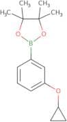 3-Cyclopropoxyphenylboronic acid pinacol ester