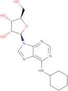 N6-Cyclohexyladenosine