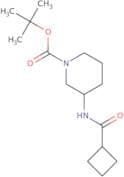 (R)-tert-Butyl 3-(cyclobutanecarbonylamino)piperidine-1-carboxylate