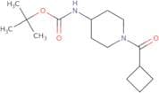 tert-Butyl 1-(cyclobutanecarbonyl)piperidin-4-ylcarbamate