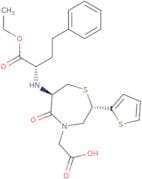 Temocapril