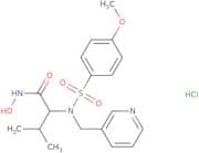 CGS 27023A