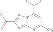 7-(Difluoromethyl)-5-methyl-[1,2,4]triazolo[1,5-a]pyrimidine-2-carbonyl chloride