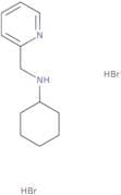 N-(2-Pyridinylmethyl)cyclohexanamine