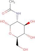 N-Acetyl-α-D-glucosamine