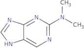 2-(dimethylamino)purine