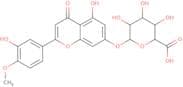 Hesperetin 7-O-b-D-glucuronide