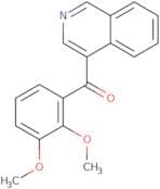 4-(2,3-Dimethoxybenzoyl)isoquinoline