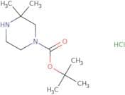 1-Boc-3,3-dimethyl-piperazine hydrochloride
