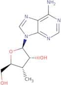 3’-Deoxy-3’C-methyladenosine