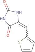 5-(2-Thienylmethylene)-2,4-imidazolidinedione