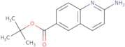 2-Aminoquinoline-6-carboxylic acid tert-butyl ester