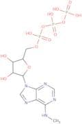 N6-Methyladenosine-5'-triphosphate sodium salt - 10 mM aqueous solution