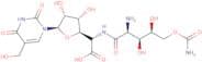 Polyoxin B