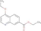 Ethyl 4-ethoxyquinoline-7-carboxylate