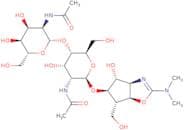 Allosamidin