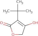 3-tert-Butyl-4-hydroxyfuran-2(5H)-one