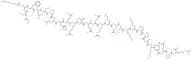 Ghrelin (Human)