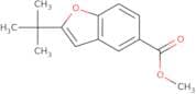 2-tert-Butylbenzofuran-5-carboxylic acid methyl ester