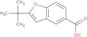 2-tert-Butyl-1-benzofuran-5-carboxylic acid