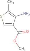 4-amino-5-methylthiophene-3-carboxylic acid
