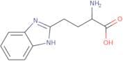 2-Amino-4-(1H-benzoimidazol-2-yl)-butyric acid