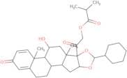 Ciclesonide 22S-epimer