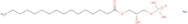 1-Palmitoyl-lyso-Phosphatidic acid Na salt