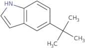 5-tert-Butyl-1H-indole