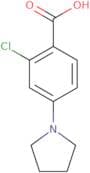 2-Chloro-4-(pyrrolidin-1-yl)benzoic acid