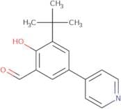 3-(tert-Butyl)-2-hydroxy-5-(4-pyridyl)benzaldehyde