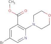 Methyl 5-bromo-2-morpholinonicotinate