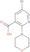 5-Bromo-2-morpholinonicotinic acid
