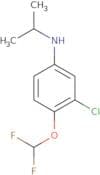 3-Chloro-4-(difluoromethoxy)-N-propan-2-ylaniline