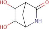 5,6-dihydroxy-2-azabicyclo[2.2.1]heptan-3-one