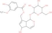 10-o-Vanilloylaucubin