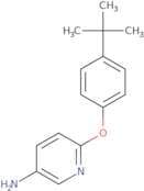 6-[4-(tert-Butyl)phenoxy]pyridin-3-amine