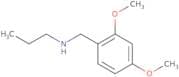 [(2,4-Dimethoxyphenyl)methyl](propyl)amine