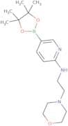 2-(2-Morpholinoethylamino)pyridine-5-boronic acid, pinacol ester