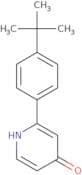 2-(4-tert-Butylphenyl)pyridin-4(1H)-one