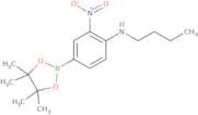 4-N-Butylamino-3-nitrophenylboronic acid pinacol ester