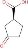 (S)-3-Oxocyclopentanecarboxylic acid