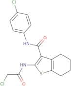 2-(2-Chloroacetamido)-N-(4-chlorophenyl)-4,5,6,7-tetrahydro-1-benzothiophene-3-carboxamide