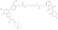 Protac brd9 degrader-1