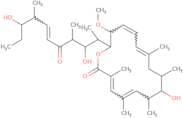 Oxohygrolidin