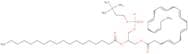 1-Docosahexaenoyl-2-stearoyl-sn-glycero-3-phosphocholine
